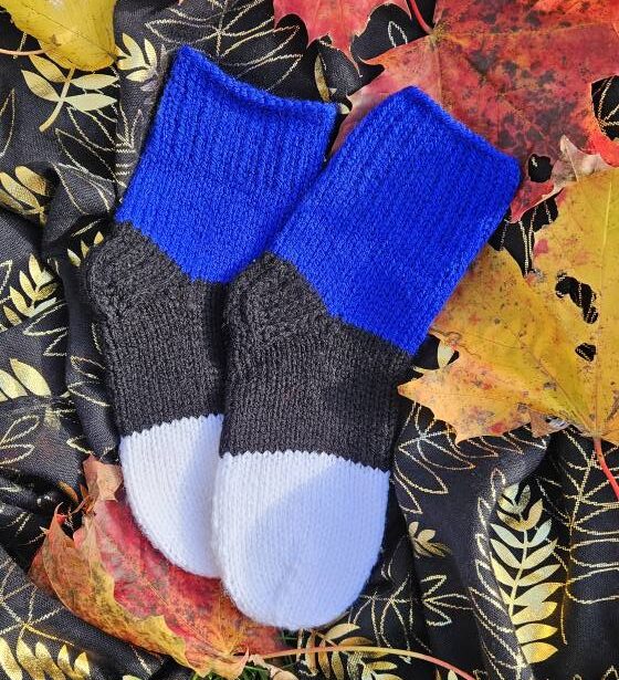 Sini-must-valged sokid