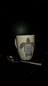 Kilpkonn 20251210 152023